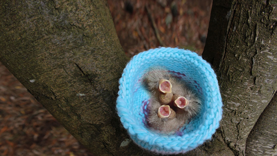 How to Knit a Bird Nest Studio Knit