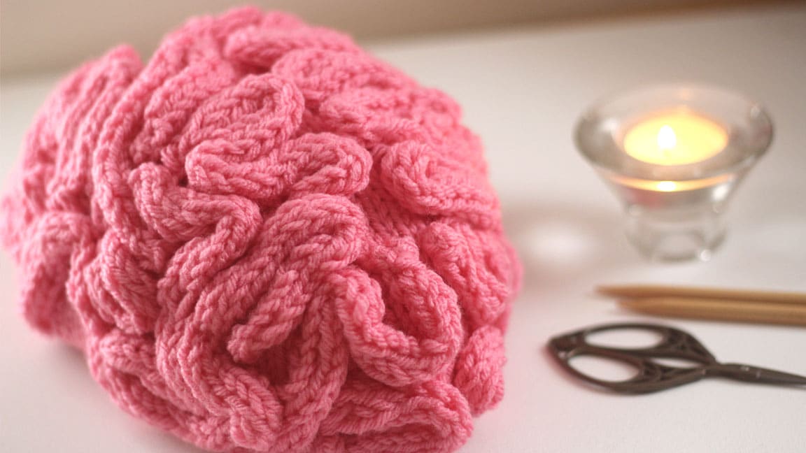How to Knit a Brain Hat for Halloween Studio Knit