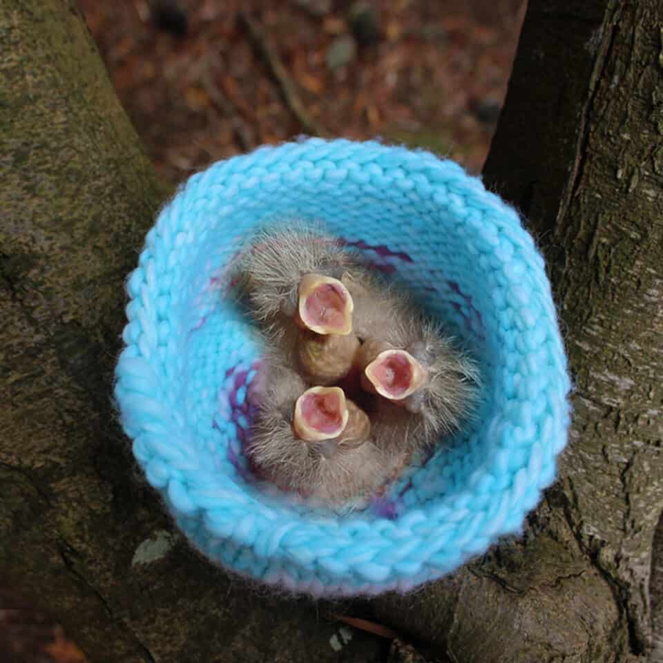 How to Knit a Birds Nest for Rescued Wildlife Animals Studio Knit